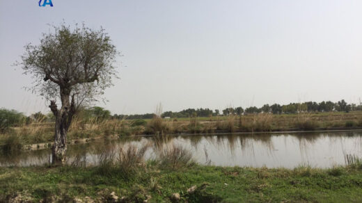 میرا گاؤں غریب وال – 1