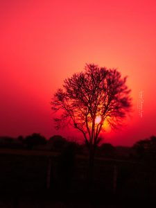 bahraich-in-urdu-literature-