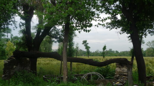 کیمبل پور سے اٹک تک – 7