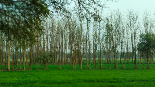 بہرائچ اردو ادب میں-3